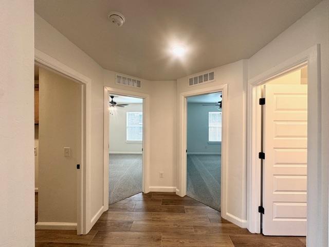Building Photo - 3125 Mt Nebo Dr