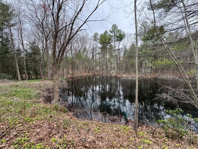 Building Photo - Pet-Ok | Charming Single-Family Ranch in Carlisle, MA | Avail 5/1