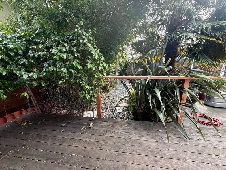 Back Deck/Yard - 1256 Hopkins St
