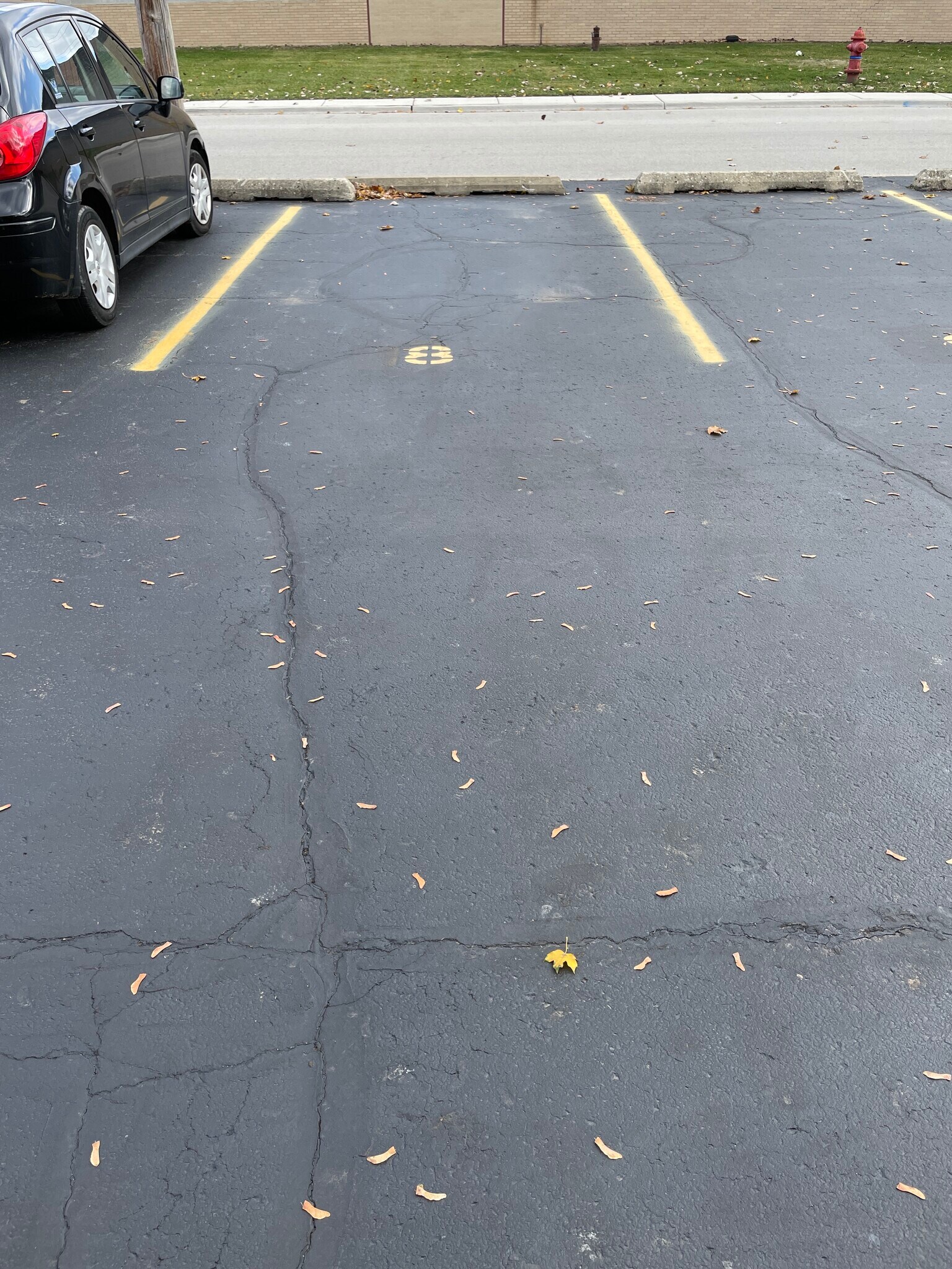 Parking #8 - 1427 Homestead Rd