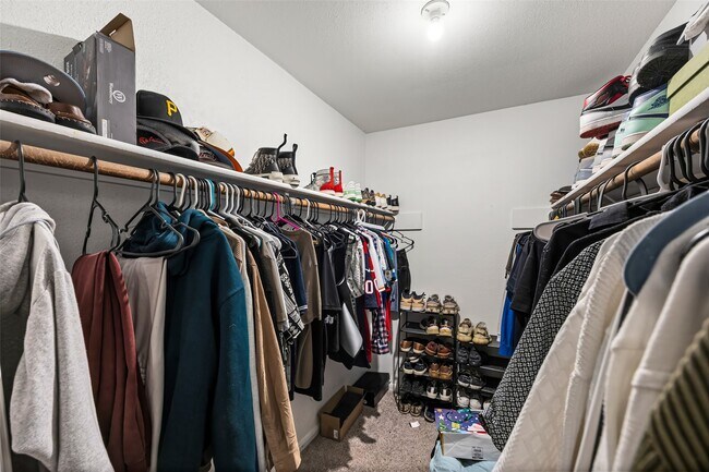 Building Photo - 810 Augusta Dr