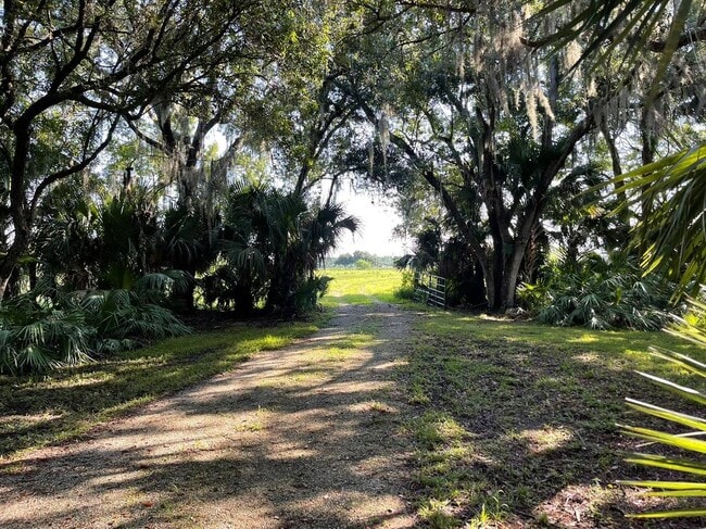 Building Photo - 4502 Wild Turkey Trail