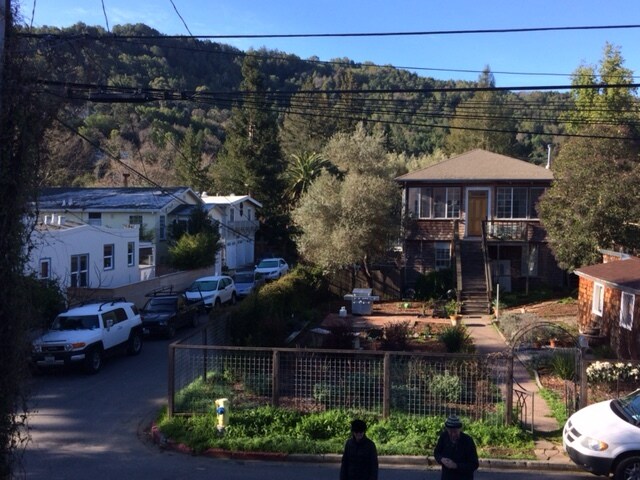 View from LR picture window - 47 Belle Ave