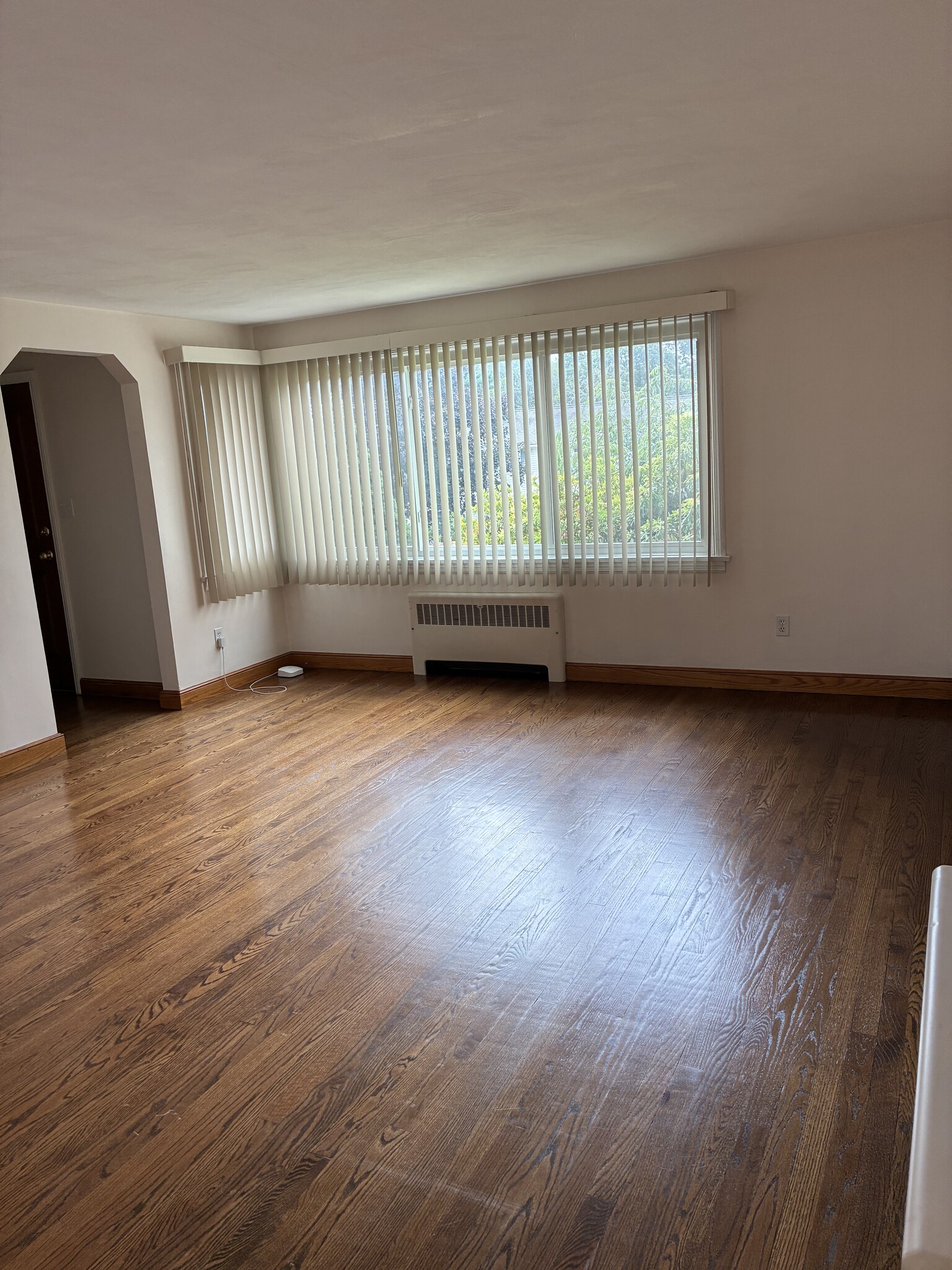 Big living room - 197 Carter Ln