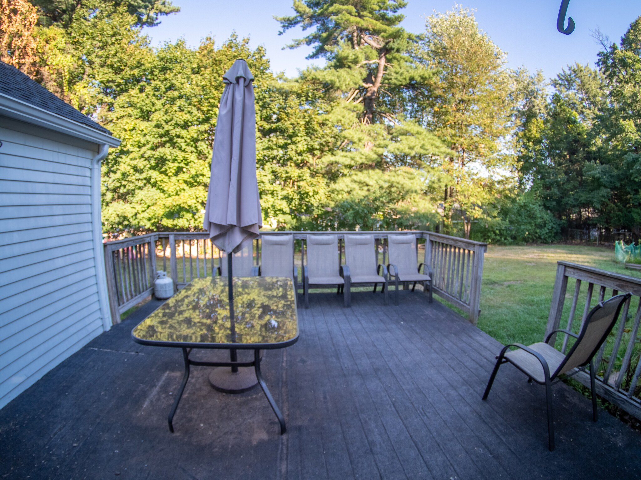 Back deck - 225 Cooper St