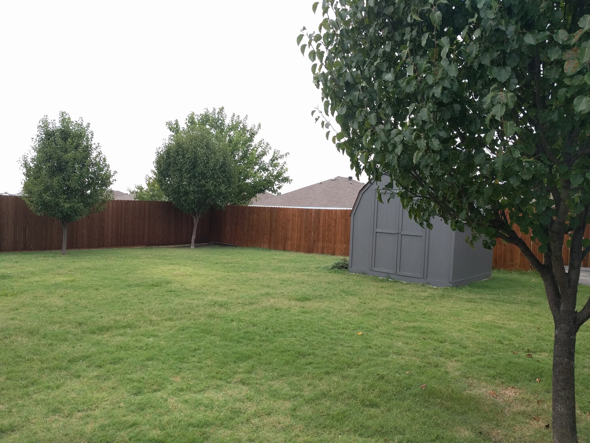 LARGE BACKYARD WITH STORAGE SHED - 510 Oxford Loop