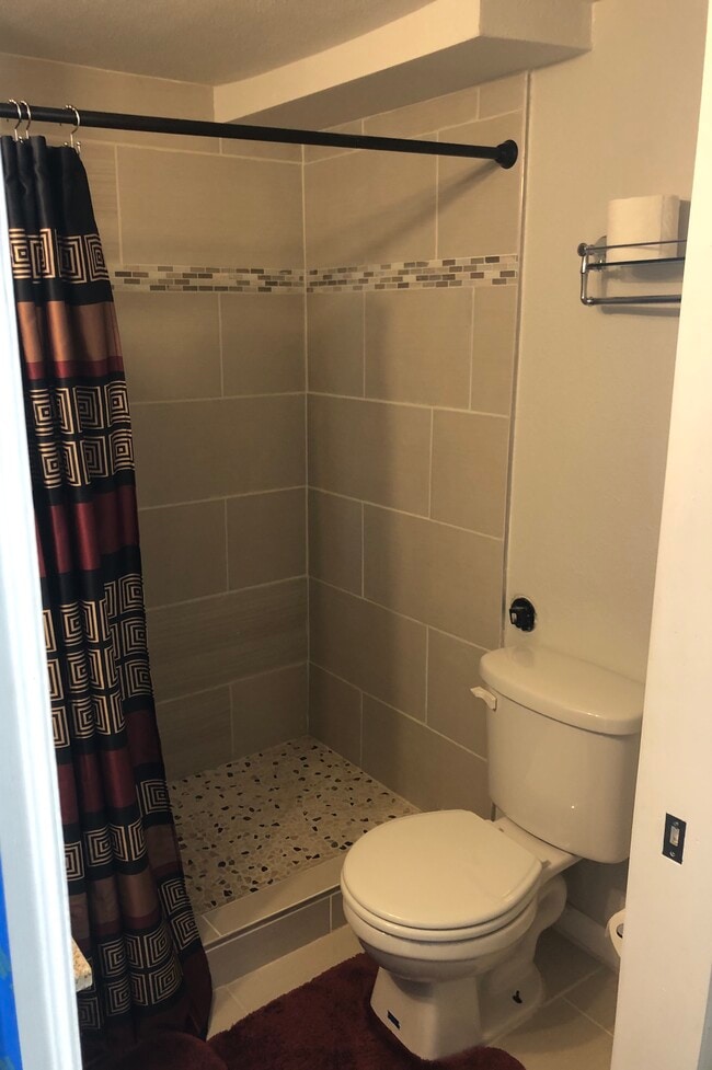 Basement Bathroom View One - 677 Vrain St