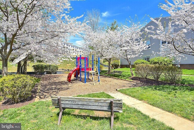 Building Photo - 15305 Diamond Cove Terrace