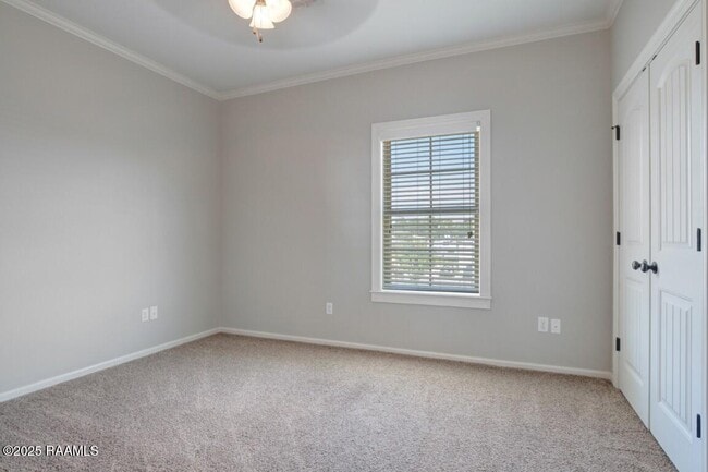 Building Photo - 117 Ella St