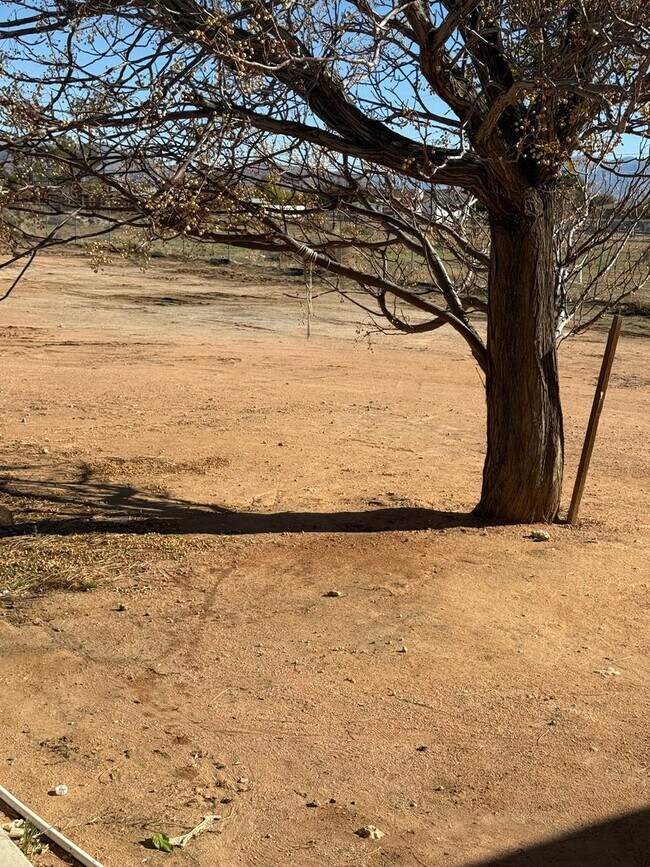 Building Photo - MOVE-IN -READY