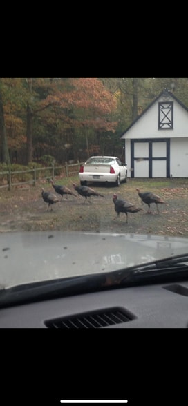 Building Photo - 16 Landsberger St