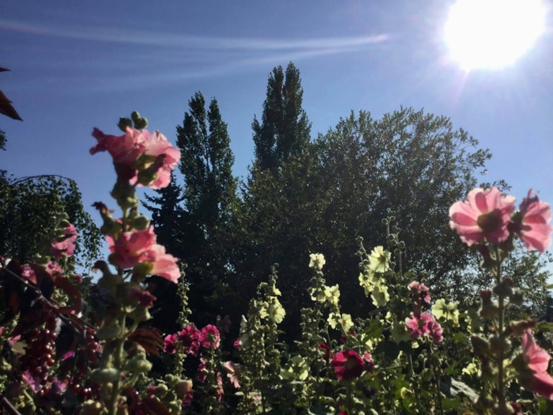 Building Photo - 150 Claffey Dr