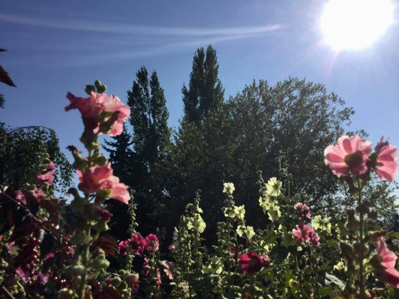 Building Photo - 150 Claffey Dr