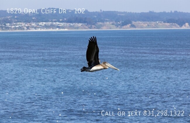 Building Photo - panoramic beach view 1 bed 1 bath minutes ...