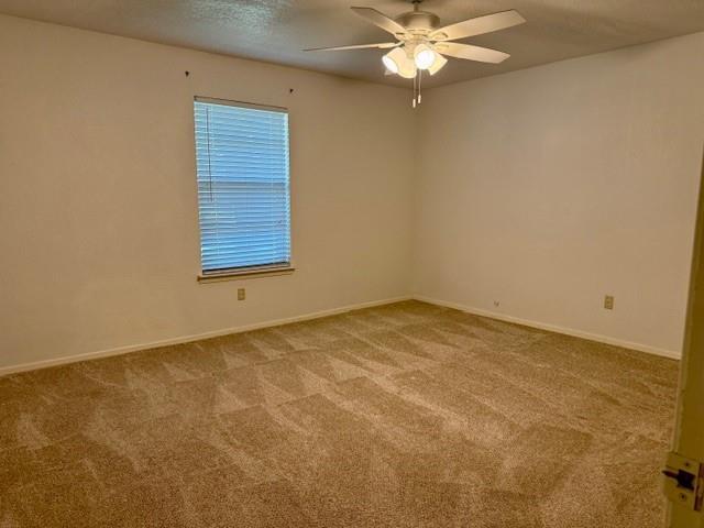 Building Photo - 3820 Sagebrush Rd