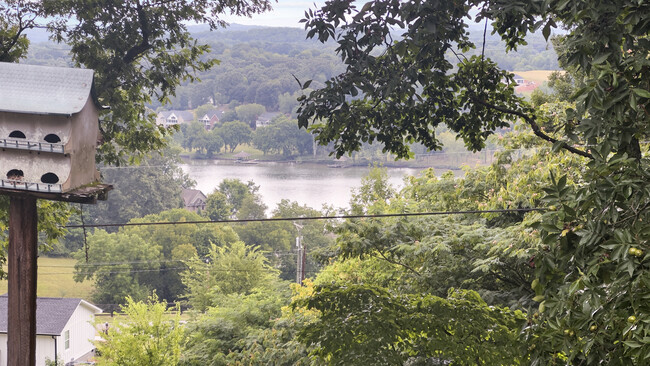 View from deck - 162 Osborne St