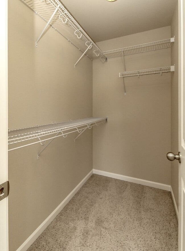 Building Photo - Beautiful Lacey Home with new paint and carpet in Popular Edgewater Community