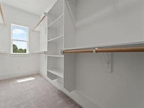 Building Photo - 4808 Cochran St