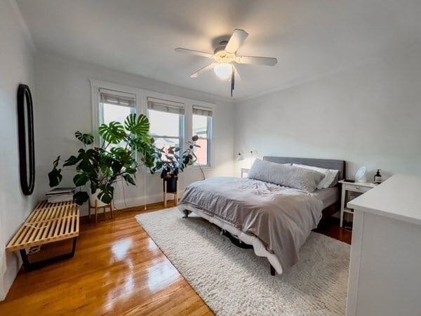 Building Photo - 23 Goldsmith St