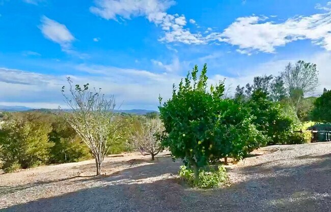 Building Photo - Amazing Location & Sprawling Country Livin...
