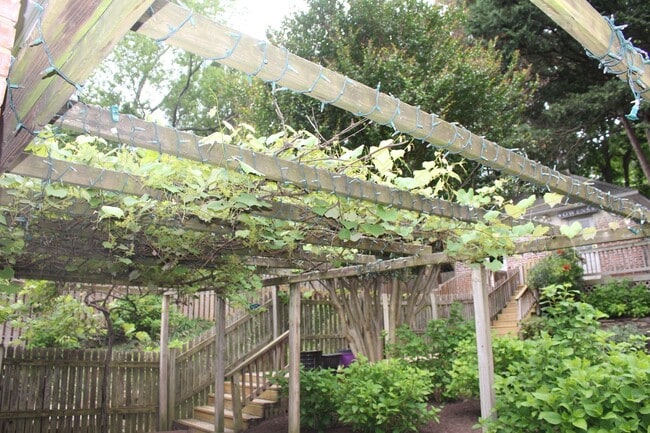 Building Photo - "Coming Soon" NW DC locale...3 level - 2/2.5 w/ off street parking  - 17 months only -