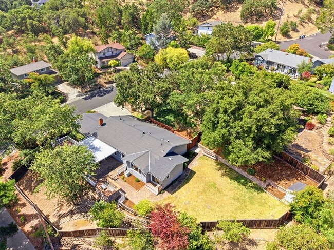 Building Photo - Spacious 4-bedroom 2-Bath in Desirable Area in Walnut Creek!
