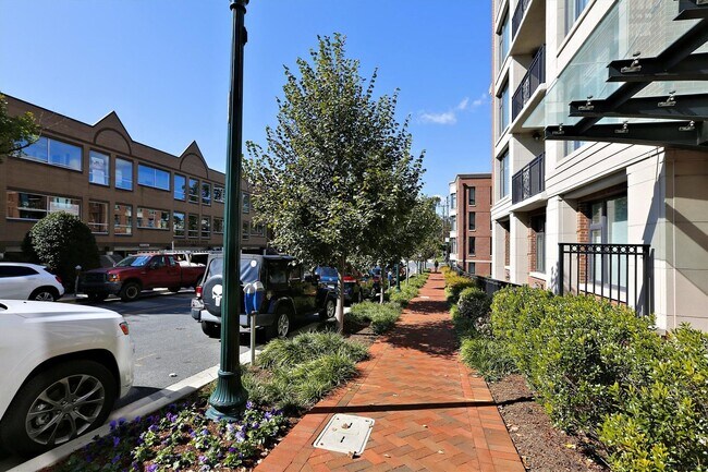 Building Photo - Gorgeous 2/2 with luxurious Lobby Level Condo in Hampden Row