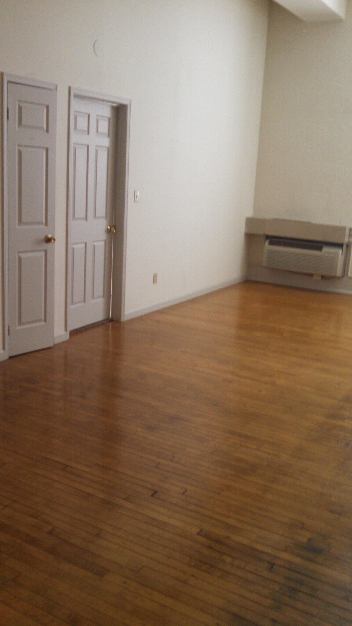 Loft 109 Beautiful hardwood floor - 224 E King St