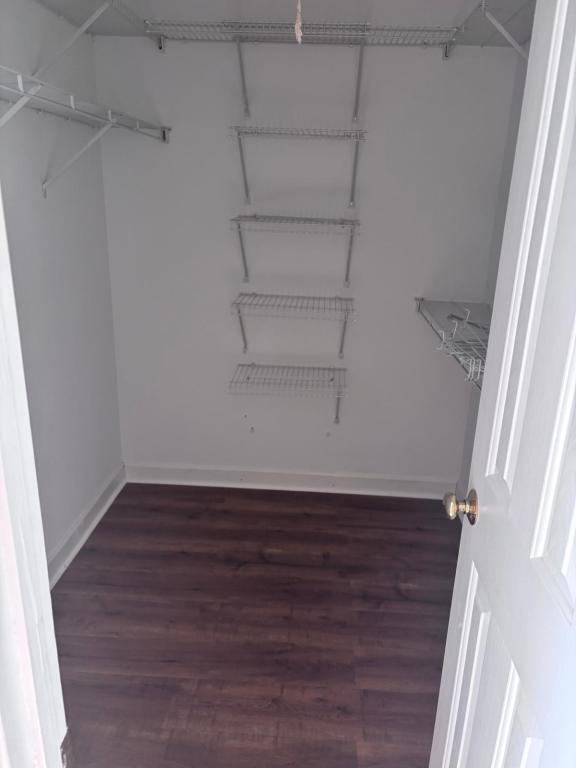 Building Photo - 4312 Gray Bluff Ct