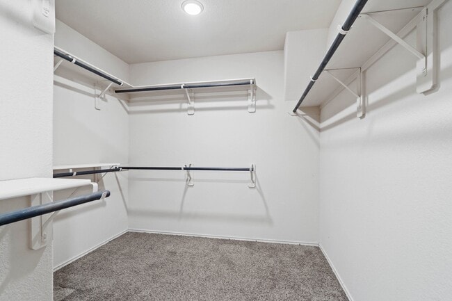 Building Photo - 9718 Ancient Elm Ln