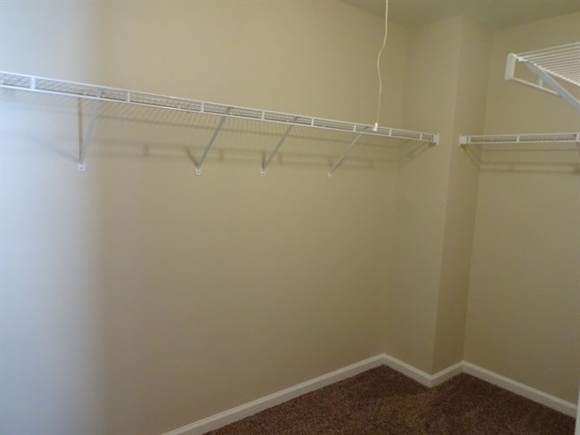 Building Photo - 2357 Longmont Dr