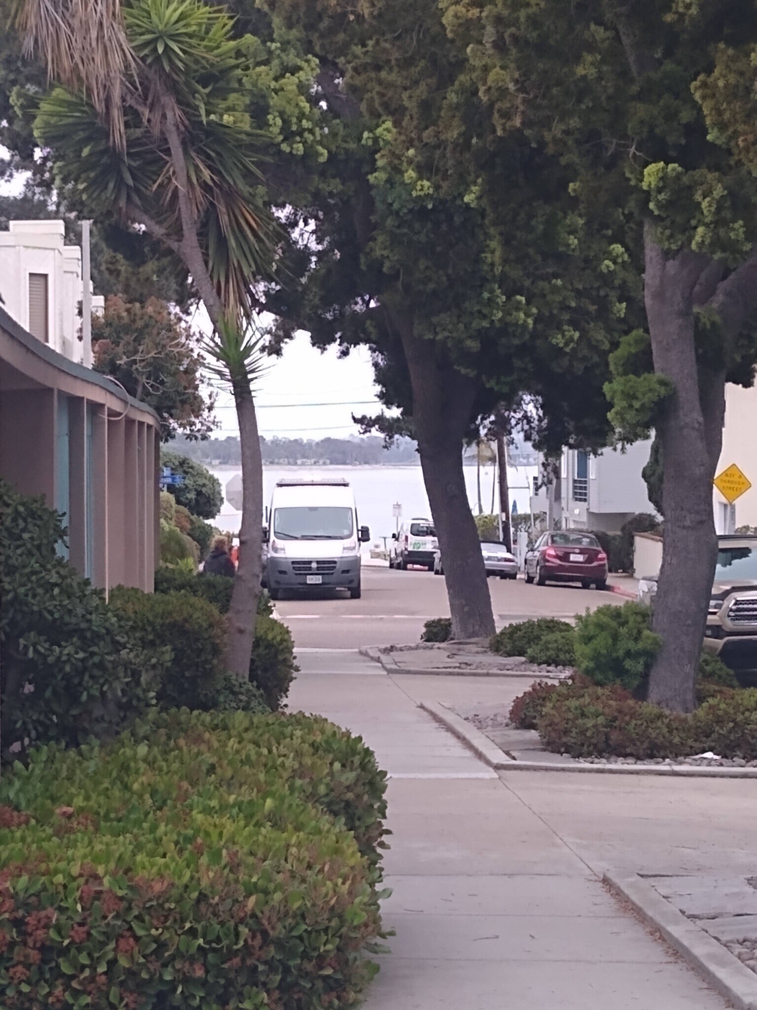 View from patio. - 4127 Everts St