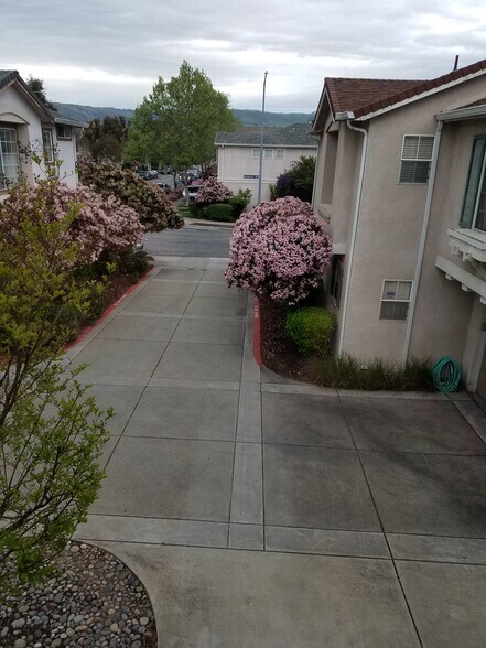 Driveway from upstairs bedroom - 1505 Hermocilla Way