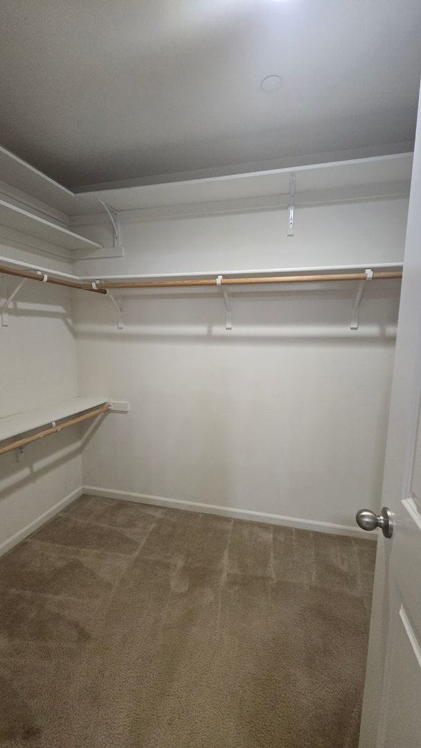 Building Photo - 5421 Tejon Ridge Ct