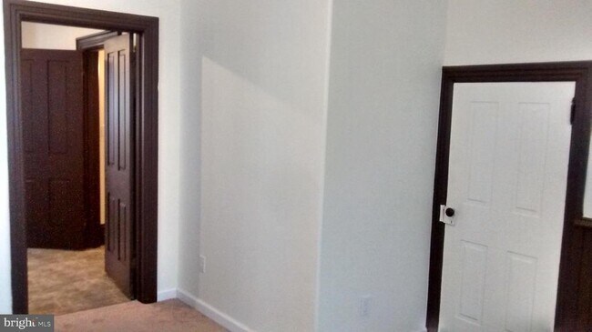 Building Photo - 221 Ann St