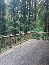 Building Photo - Charming Private Cottage in the Redwoods