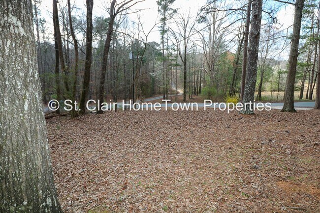 Building Photo - Adorable Home in Cook Springs
