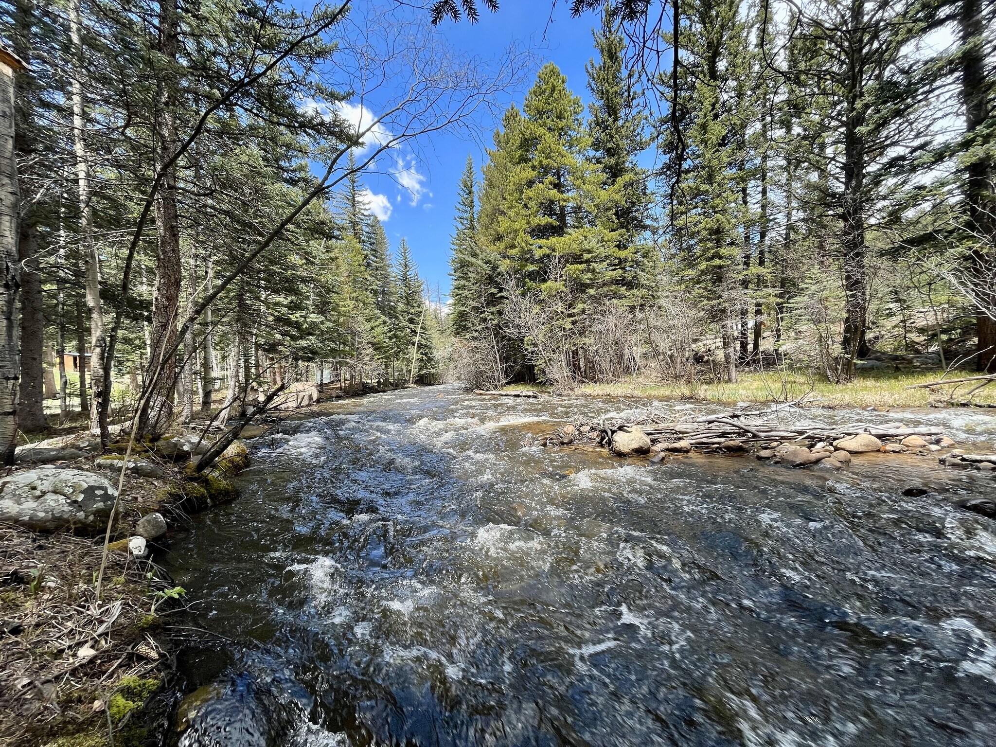 North Boulder Creek - 49 Big Jack Court
