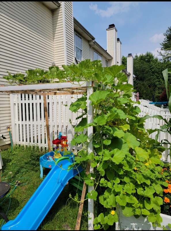 Building Photo - 32 Chatham Ct