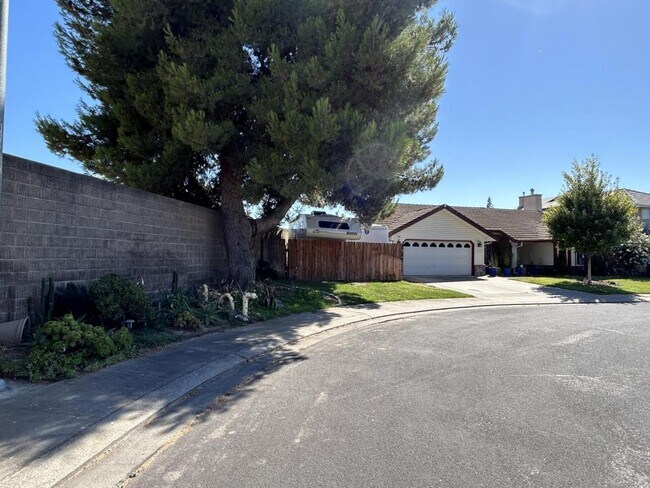 Building Photo - 1278 Junge Ct