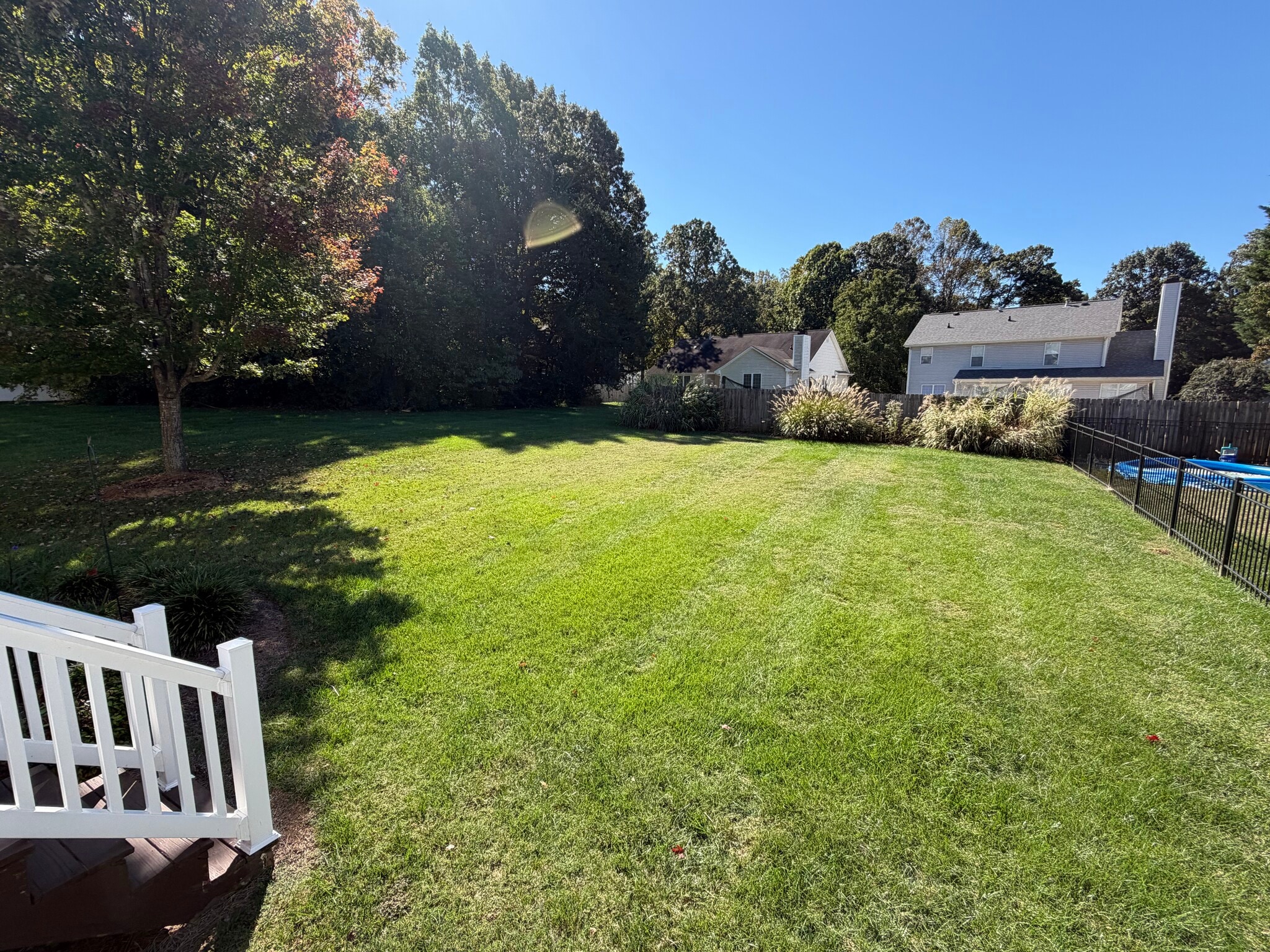 Beautifully landscaped backyard - 6419 Woodmont Rd