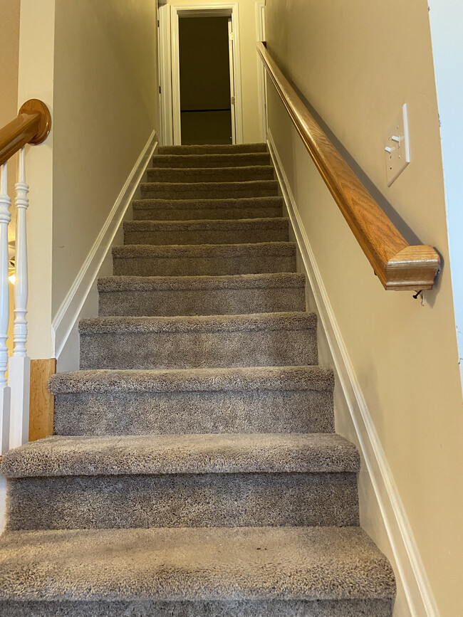 Carpeted stairs to 2nd floor - 1309 Ujamaa Dr