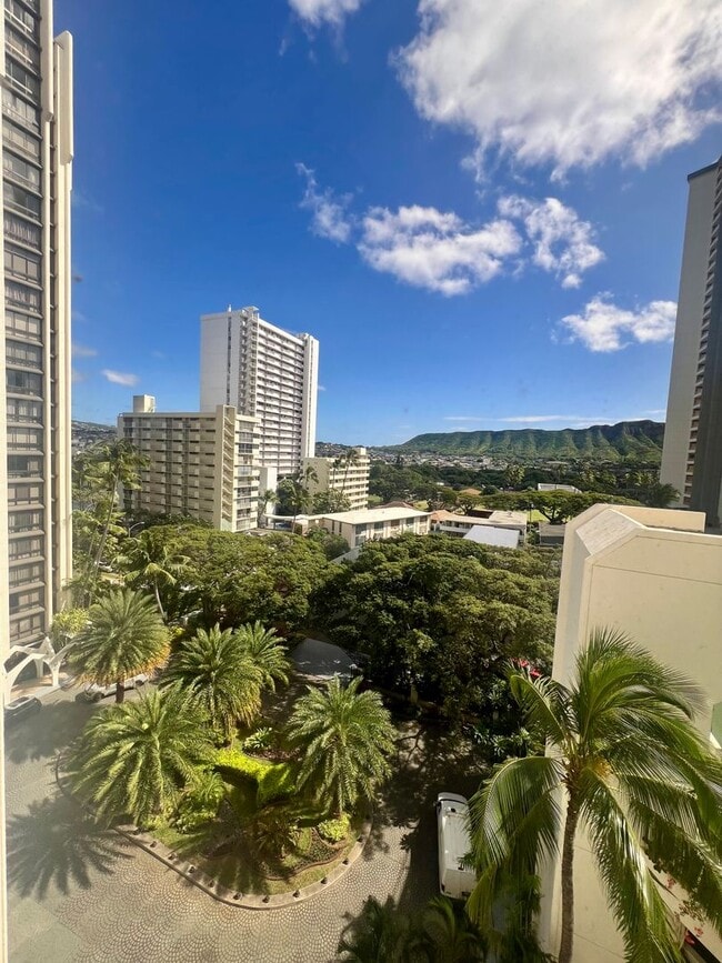 Building Photo - Charming & Convenient Studio, Great Building