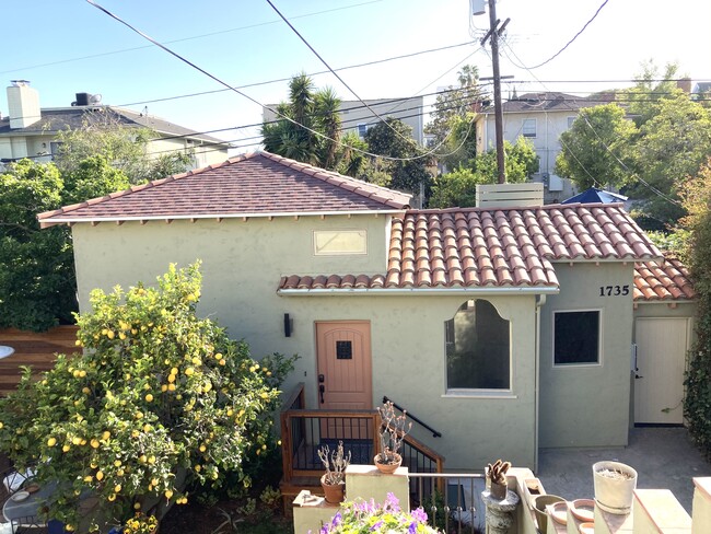 Eastern side view of new house w/ lemon tree. - 1735 Midvale Ave