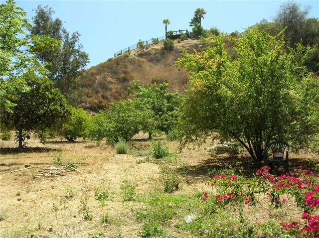 Building Photo - 23665 Meadcliff Pl