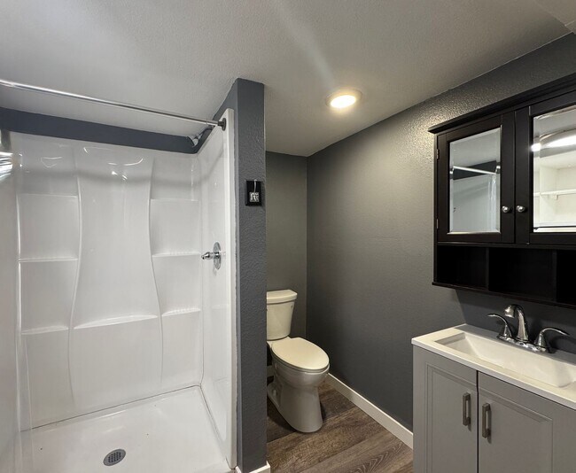 Building Photo - Newly Renovated 3 Separate Dwelling property in Denver! Available NOW