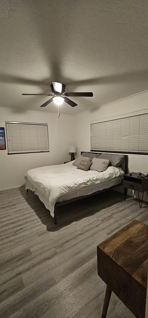 Building Photo - Fully Furnished Home in Putnam Heights + All Appliances