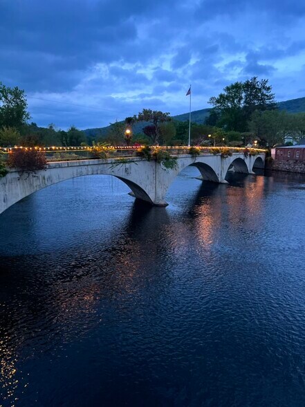 bridge of flowers at night - 104 Main St
