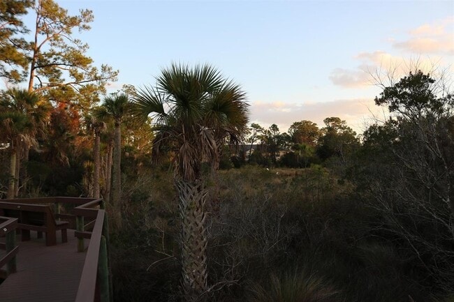 Building Photo - 2431 Vista Cove Rd