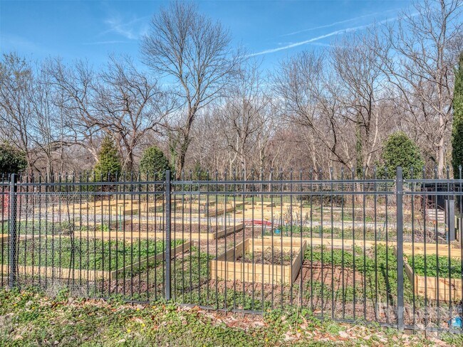 Building Photo - 1101 W 1st St